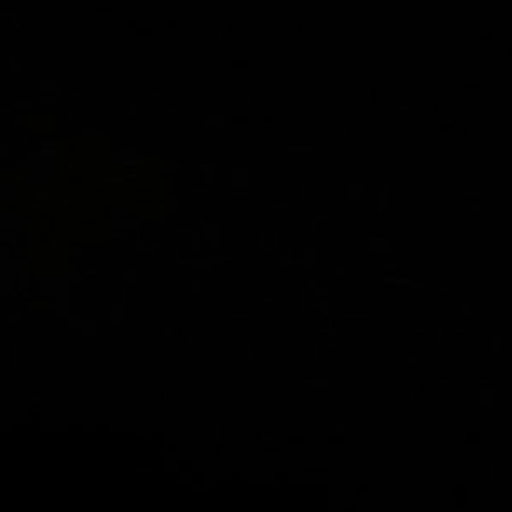 Meet your Posher, Priscilla